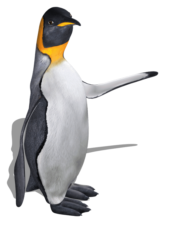 Pinguine stehen für Spitzenleistungen